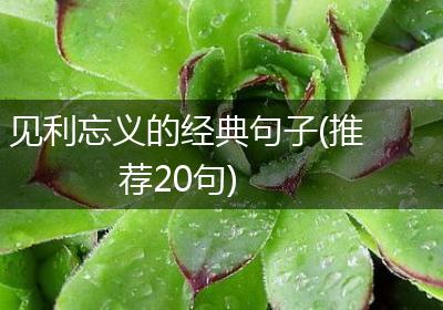 见利忘义的经典句子(推荐20句)