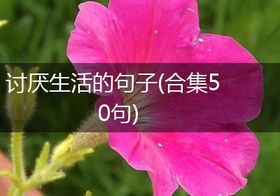 讨厌生活的句子(合集50句)