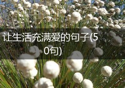 让生活充满爱的句子(50句)