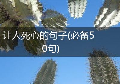 让人死心的句子(必备50句)
