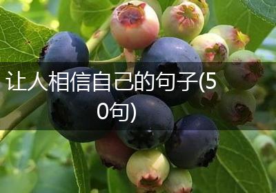 让人相信自己的句子(50句)