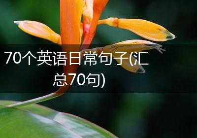 70个英语日常句子(汇总70句)