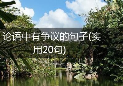 论语中有争议的句子(实用20句)