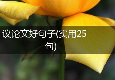 议论文好句子(实用25句)