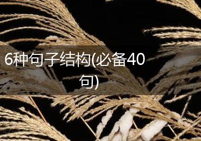 6种句子结构(必备40句)