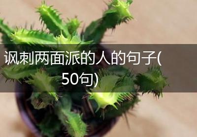 讽刺两面派的人的句子(50句)