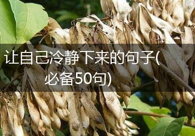 让自己冷静下来的句子(必备50句)