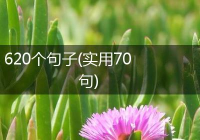 620个句子(实用70句)