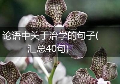 论语中关于治学的句子(汇总40句)
