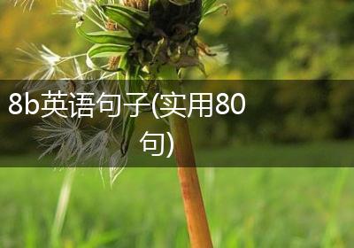 8b英语句子(实用80句)