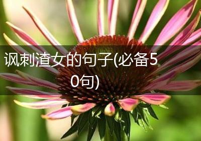 讽刺渣女的句子(必备50句)