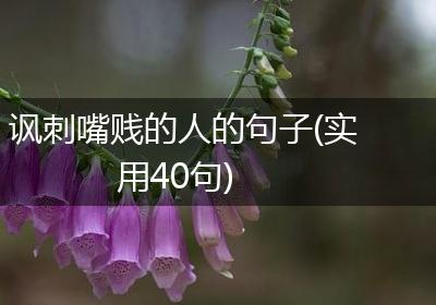 讽刺嘴贱的人的句子(实用40句)