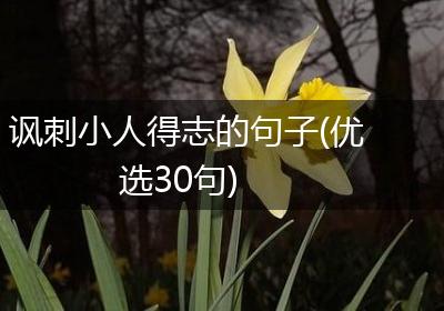 讽刺小人得志的句子(优选30句)