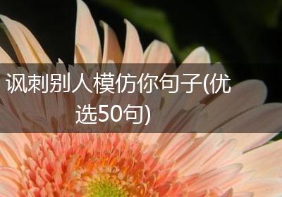 讽刺别人模仿你句子(优选50句)