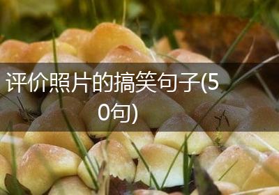 评价照片的搞笑句子(50句)