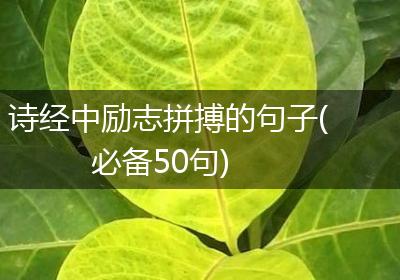 诗经中励志拼搏的句子(必备50句)