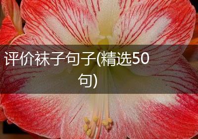 评价袜子句子(精选50句)