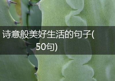 诗意般美好生活的句子(50句)
