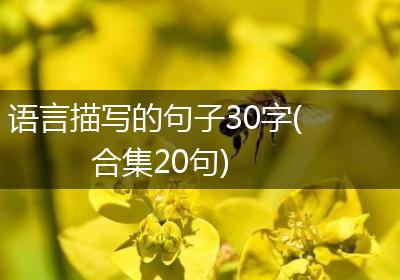 语言描写的句子30字(合集20句)