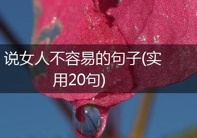 说女人不容易的句子(实用20句)