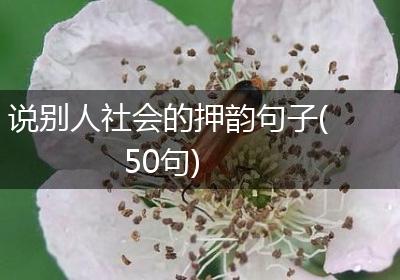 说别人社会的押韵句子(50句)