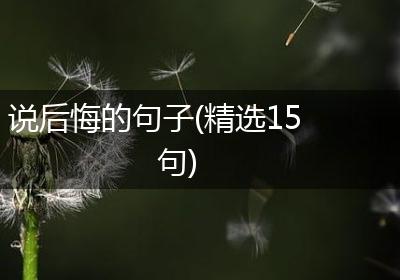 说后悔的句子(精选15句)