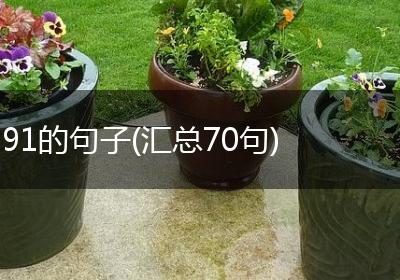 91的句子(汇总70句)