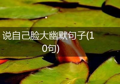 说自己脸大幽默句子(10句)