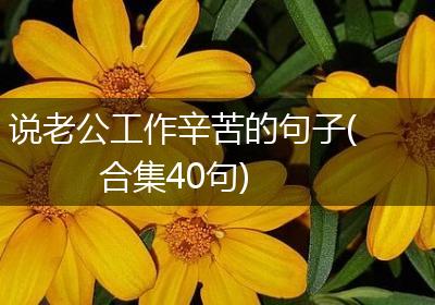 说老公工作辛苦的句子(合集40句)