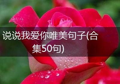 说说我爱你唯美句子(合集50句)