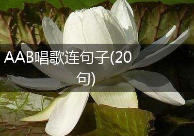 AAB唱歌连句子(20句)