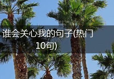 谁会关心我的句子(热门10句)