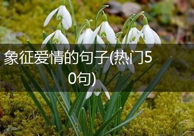 象征爱情的句子(热门50句)