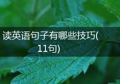 读英语句子有哪些技巧(11句)