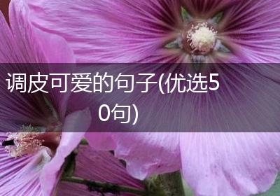 调皮可爱的句子(优选50句)