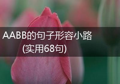 AABB的句子形容小路(实用68句)