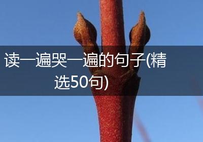 读一遍哭一遍的句子(精选50句)