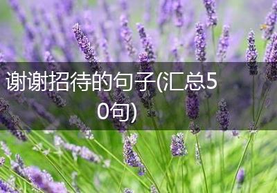 谢谢招待的句子(汇总50句)