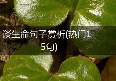 谈生命句子赏析(热门15句)