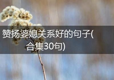赞扬婆媳关系好的句子(合集30句)