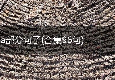 a部分句子(合集96句)