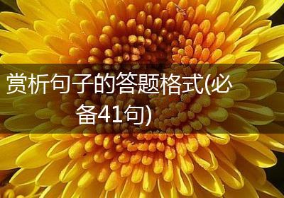 赏析句子的答题格式(必备41句)