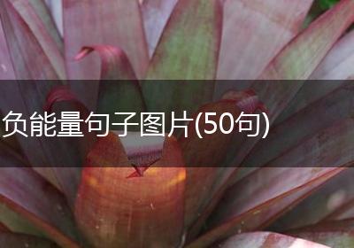 负能量句子图片(50句)