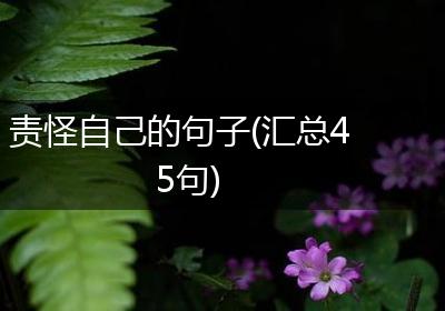 责怪自己的句子(汇总45句)