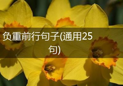 负重前行句子(通用25句)