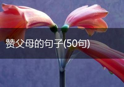 赞父母的句子(50句)