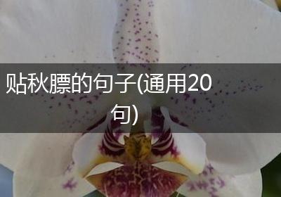 贴秋膘的句子(通用20句)