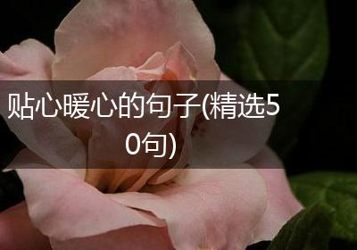 贴心暖心的句子(精选50句)