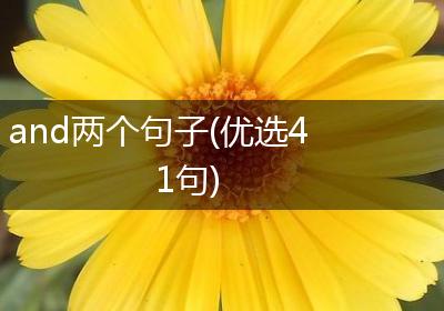 and两个句子(优选41句)
