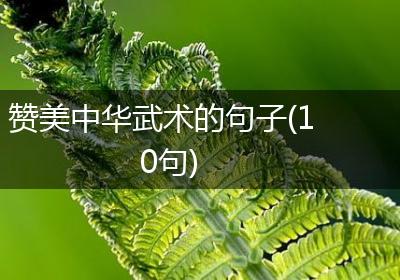 赞美中华武术的句子(10句)